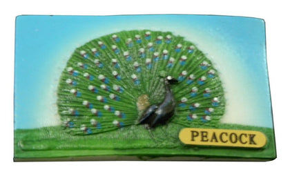 Indian Peacock Fridge Magnet for Home Decoration and Gifting, Travel Souvenir (Polyresin, 2